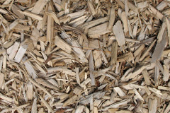 biomass boilers Elerch