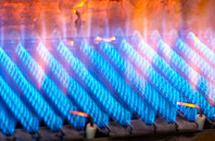 Elerch gas fired boilers